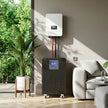Home Energy Backup